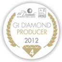 Gi 4 Diamond Award Winner